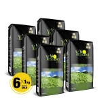 Yeşil İnci Gold 1000 Gr X 6 Adet