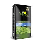 Yeşil İnci Gold 1000 Gr X 3 Adet